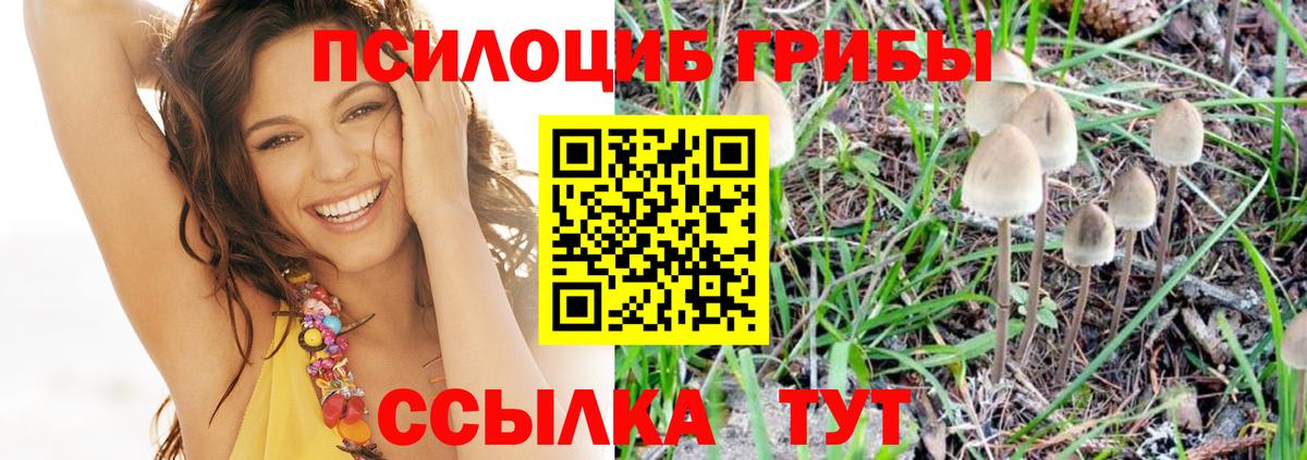 Псилоцибиновые грибы ЛСД  где купить наркоту  Михайловск  Вход с VPN 